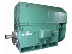 YJTGKK5603-4YKK系列高压电机