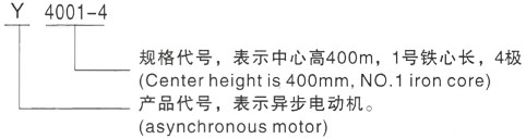 西安泰富西玛Y系列(H355-1000)高压YJTGKK5603-4三相异步电机型号说明